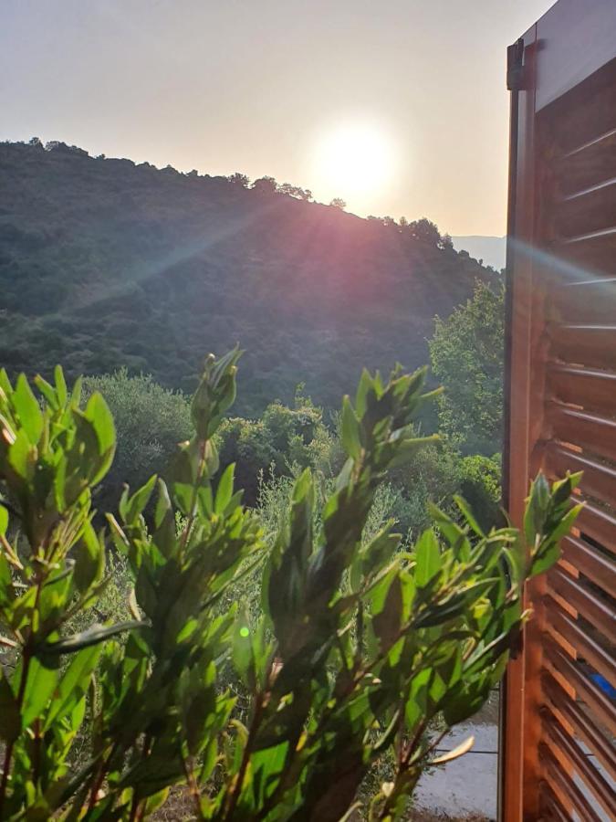 Вілла Colle Del Mirto Castelnuovo Cilento Екстер'єр фото