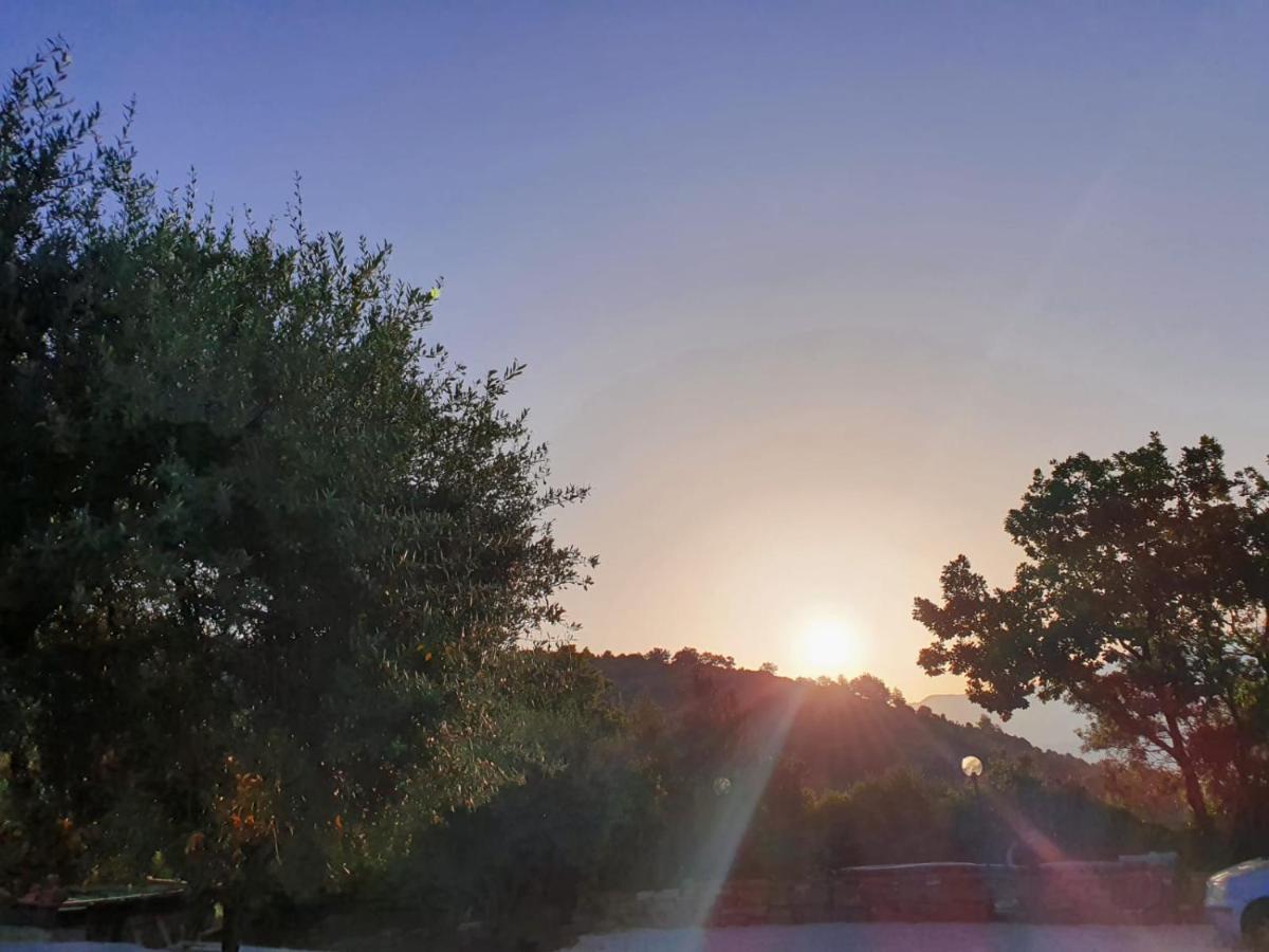 Вілла Colle Del Mirto Castelnuovo Cilento Екстер'єр фото